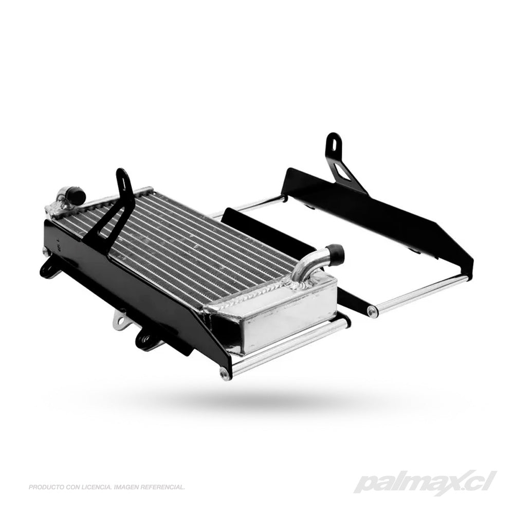 Palmax cl
