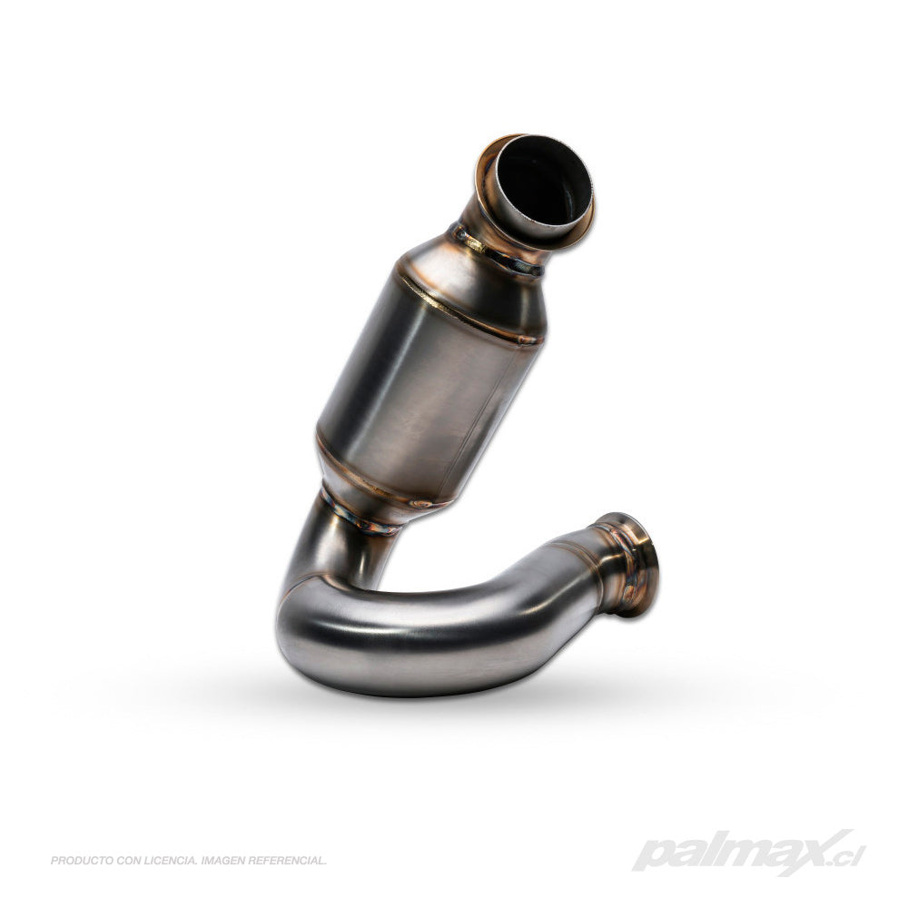 Palmax cl