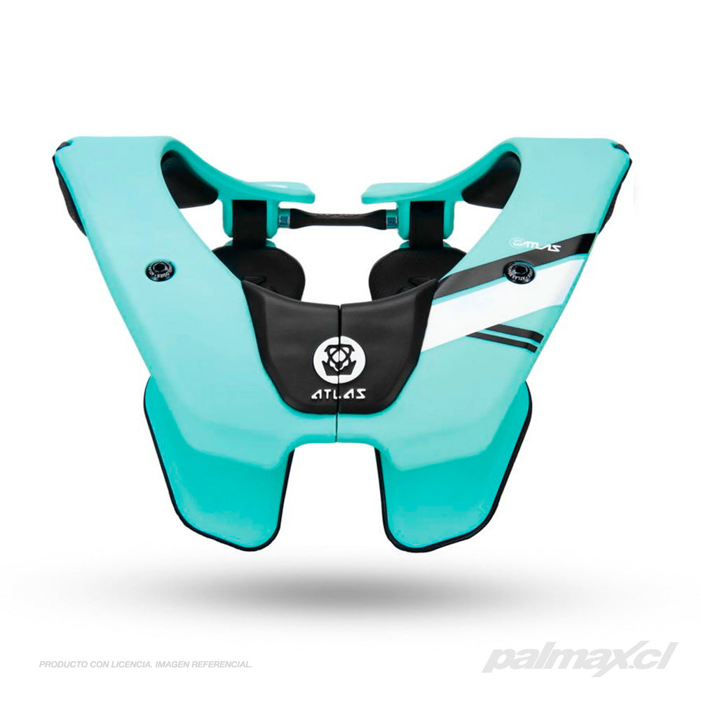 Palmax cl