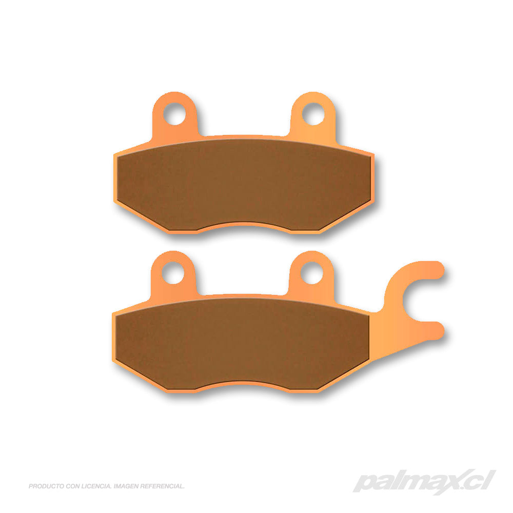 Palmax cl