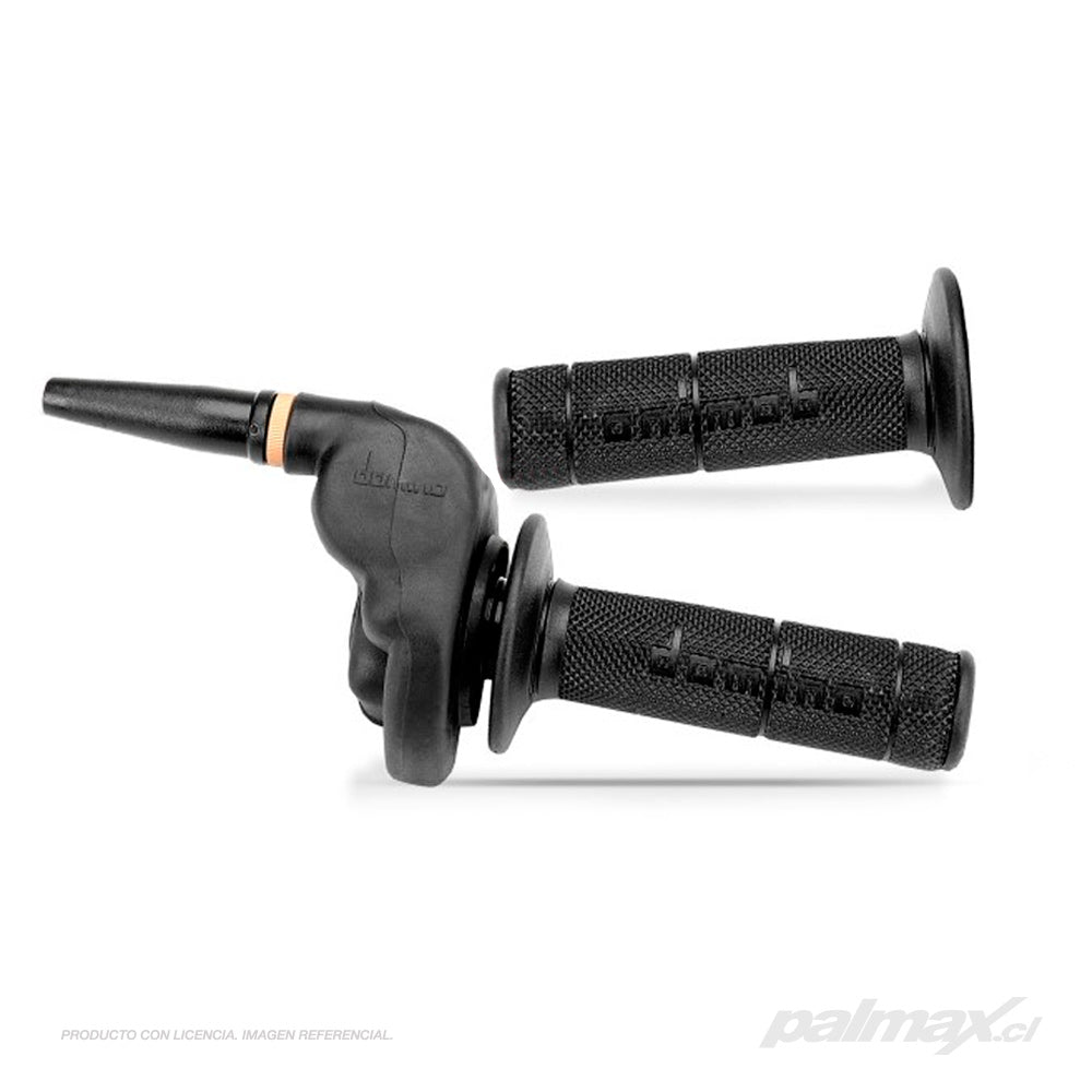 Palmax cl