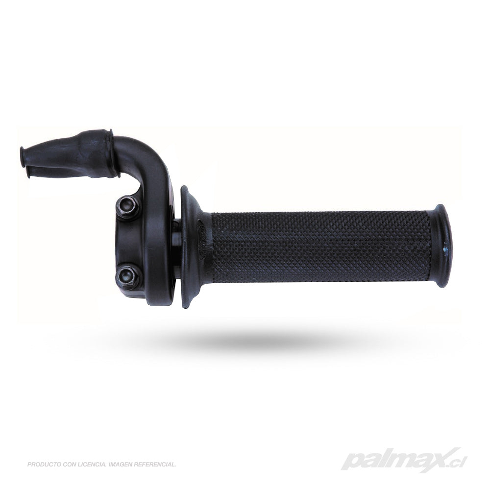 Palmax cl