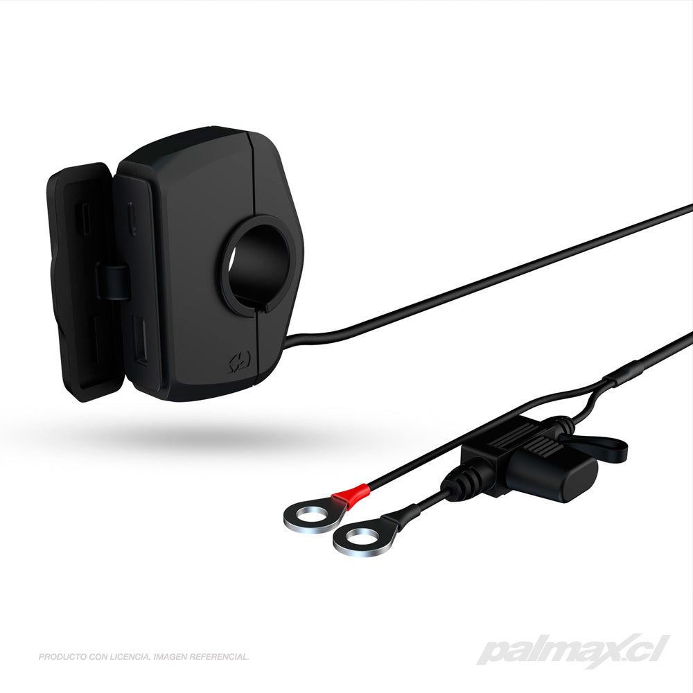 Palmax cl