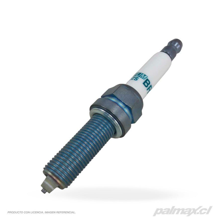Palmax cl