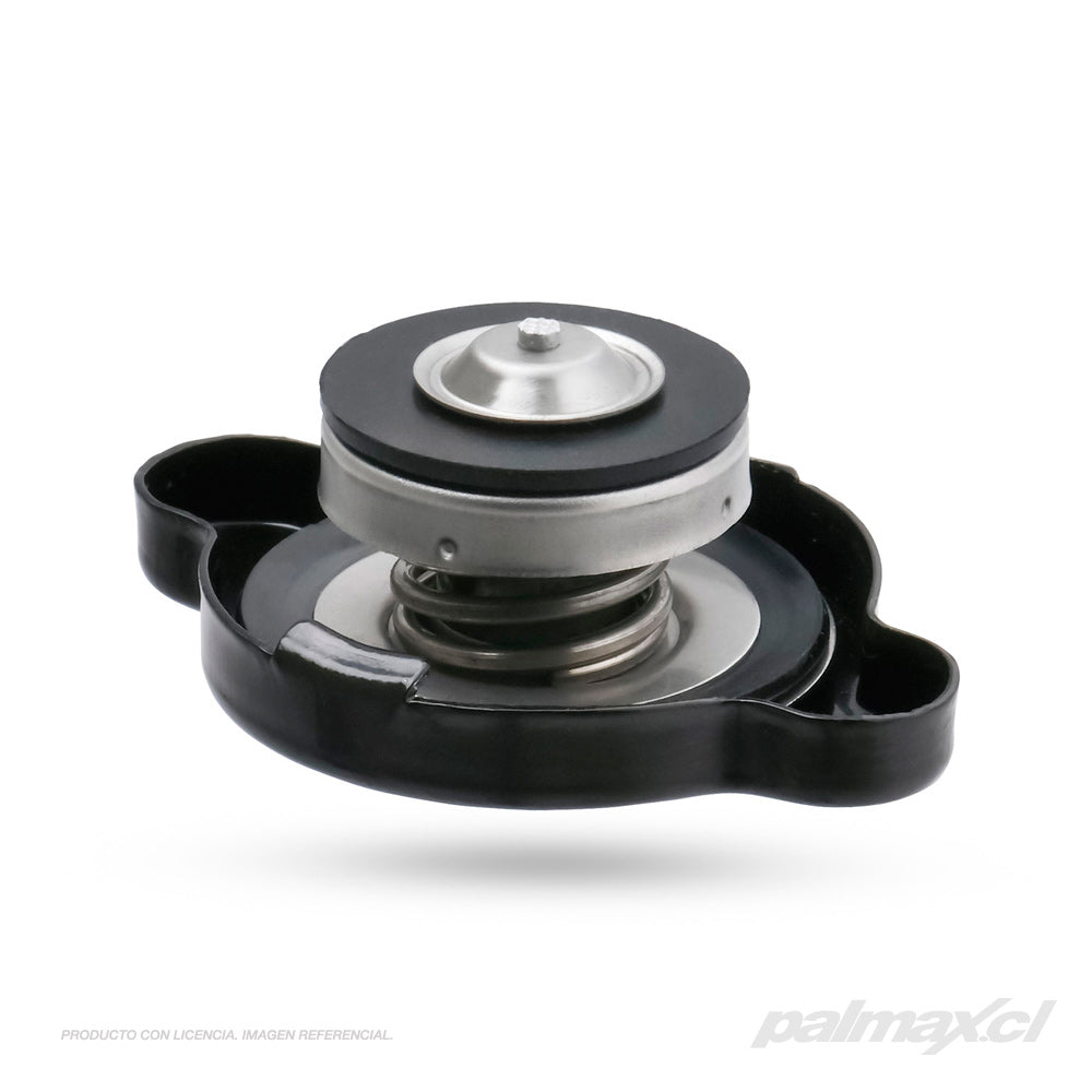 Palmax cl