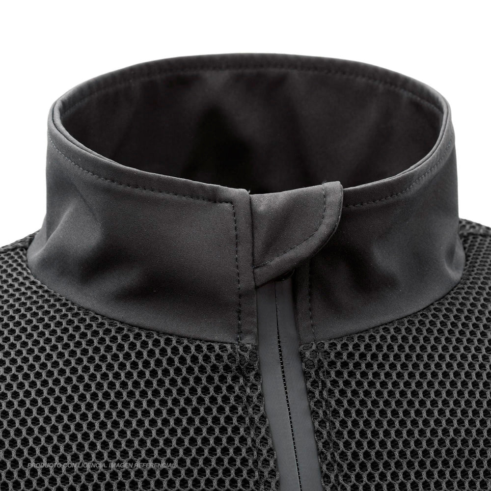 Palmax cl
