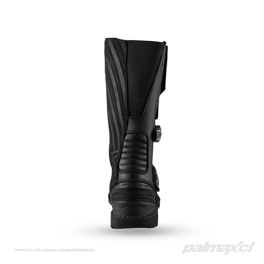 Palmax cl