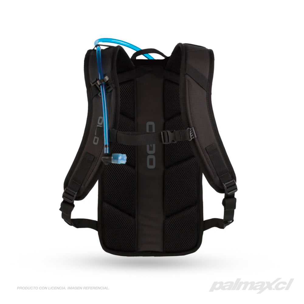 Palmax cl