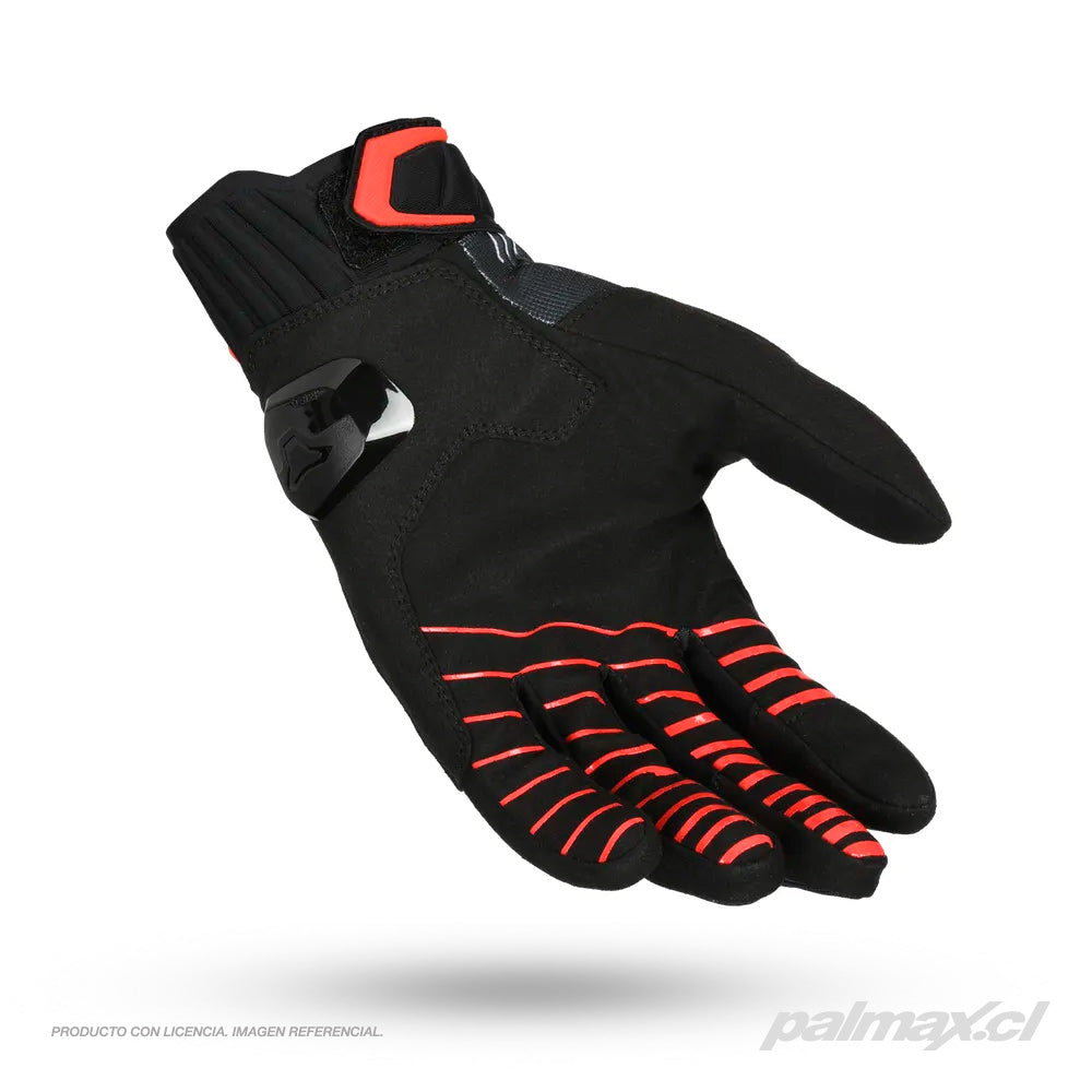 Palmax cl