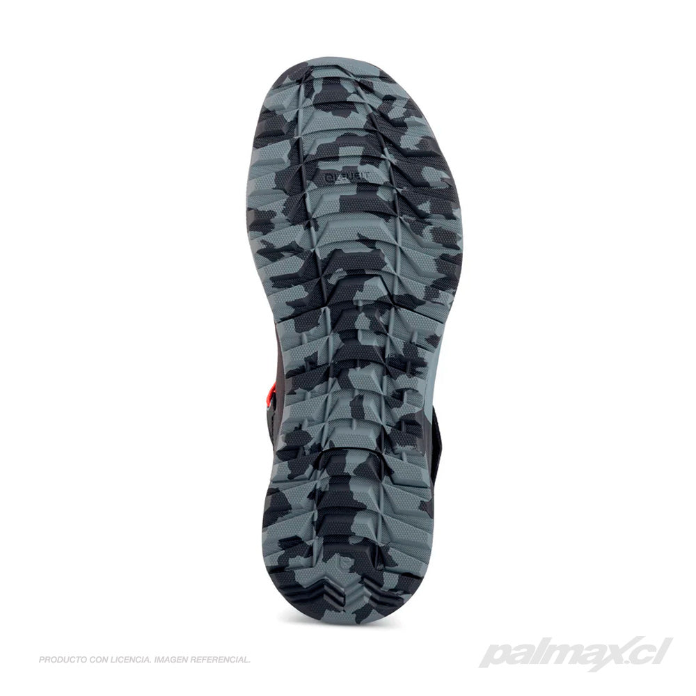 Palmax cl