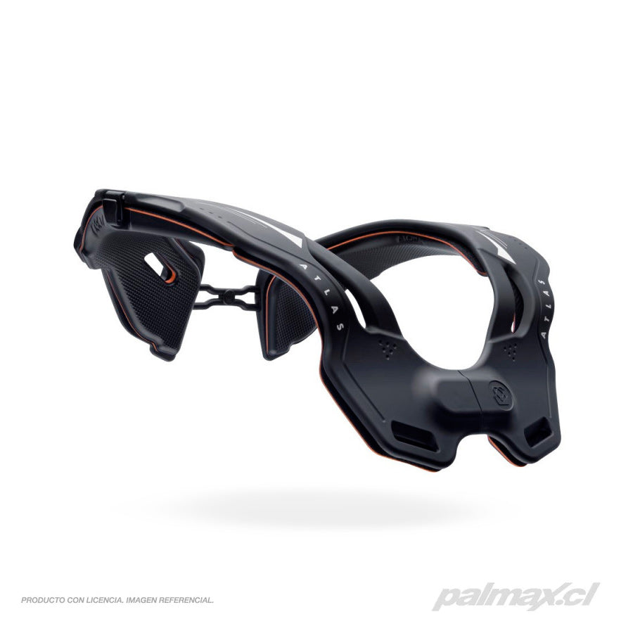 Palmax cl