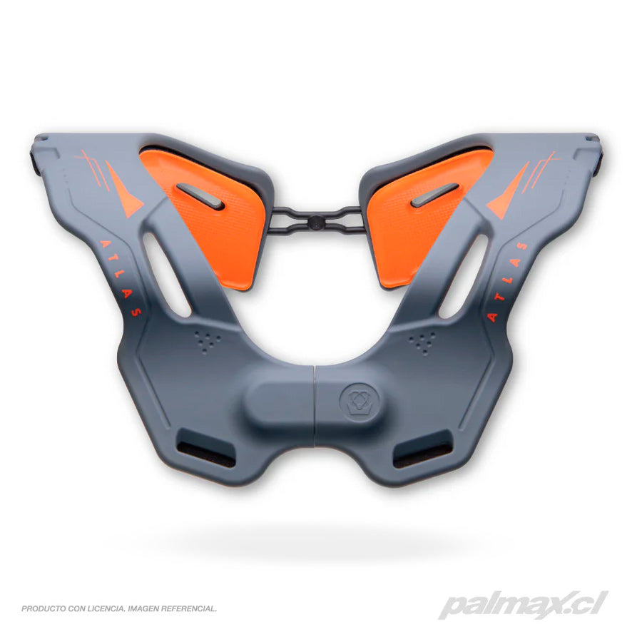 Palmax cl
