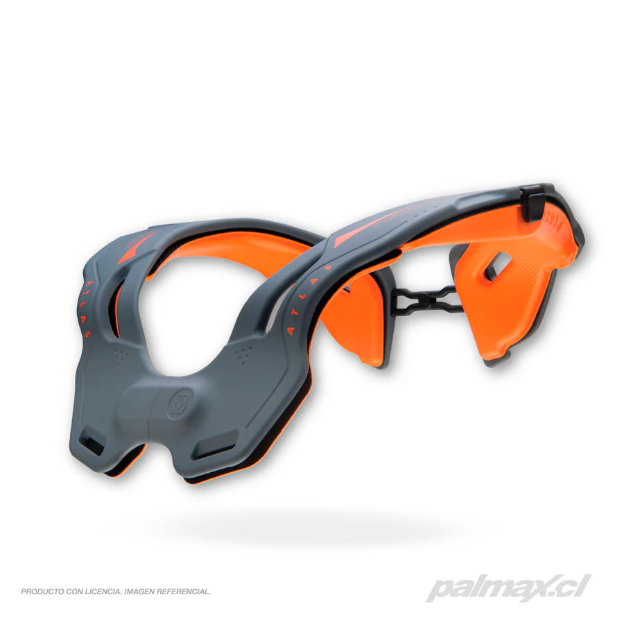 Palmax cl