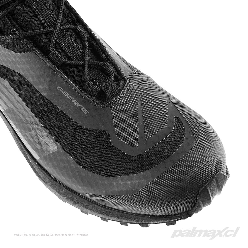 Palmax cl
